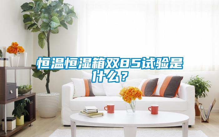 恒溫恒濕箱雙85試驗(yàn)是什么？