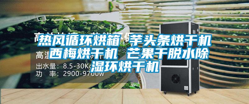熱風循環烘箱 芋頭條烘干機 西梅烘干機 芒果干脫水除濕環烘干機