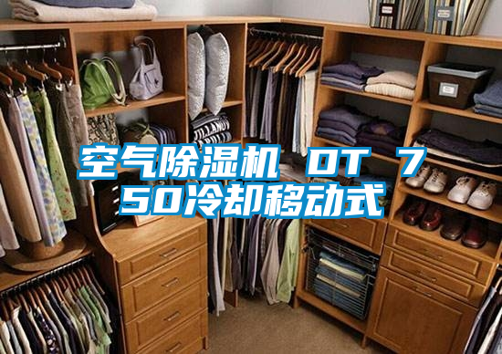 空氣除濕機 DT 750冷卻移動式