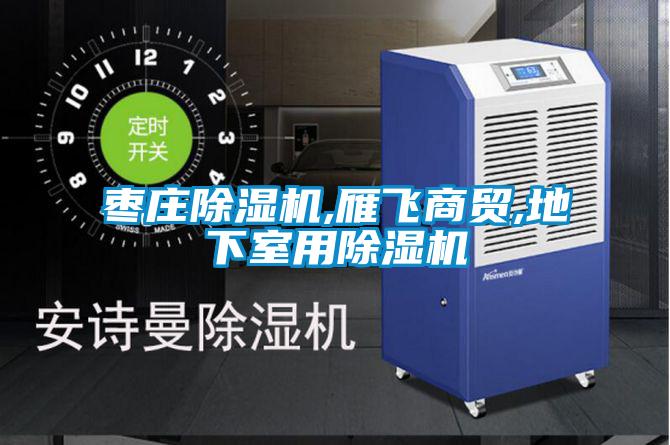 棗莊除濕機(jī),雁飛商貿(mào),地下室用除濕機(jī)
