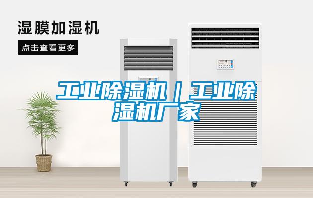 工業除濕機｜工業除濕機廠家