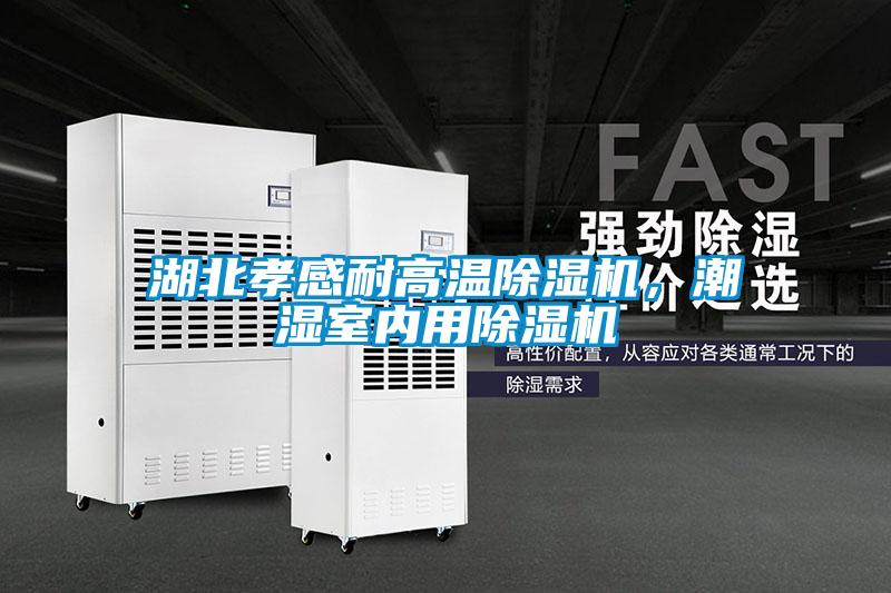 湖北孝感耐高溫除濕機(jī)，潮濕室內(nèi)用除濕機(jī)