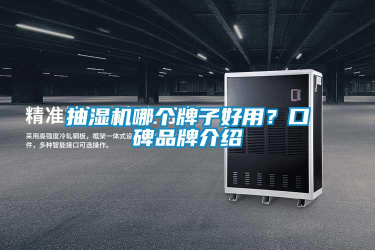 抽濕機哪個牌子好用？口碑品牌介紹
