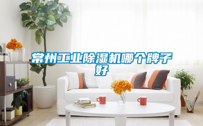 常州工業除濕機哪個牌子好