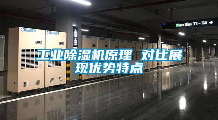 工業(yè)除濕機(jī)原理 對(duì)比展現(xiàn)優(yōu)勢(shì)特點(diǎn)