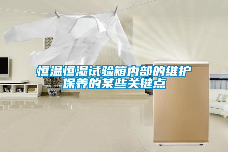 恒溫恒濕試驗箱內部的維護保養(yǎng)的某些關鍵點