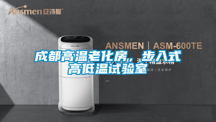 成都高溫老化房，步入式高低溫試驗(yàn)室
