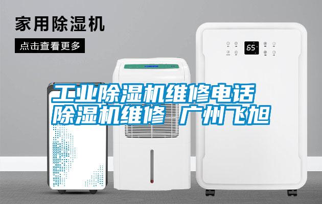 工業除濕機維修電話 除濕機維修 廣州飛旭