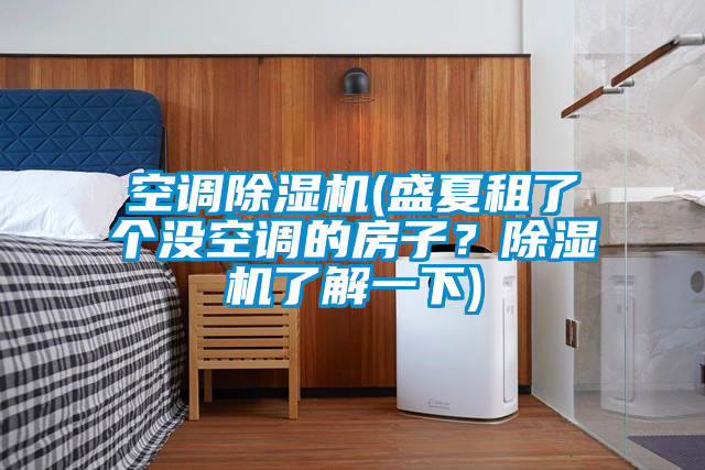 空調除濕機(盛夏租了個沒空調的房子？除濕機了解一下)