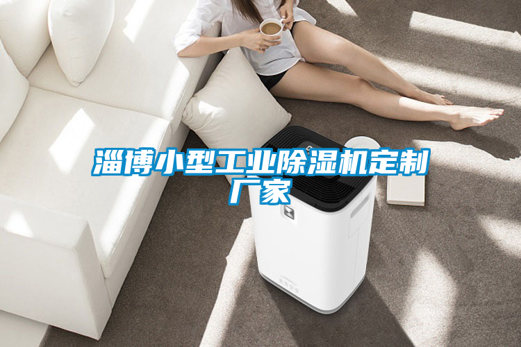 淄博小型工業除濕機定制廠家