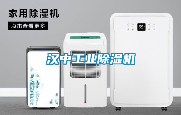 漢中工業除濕機