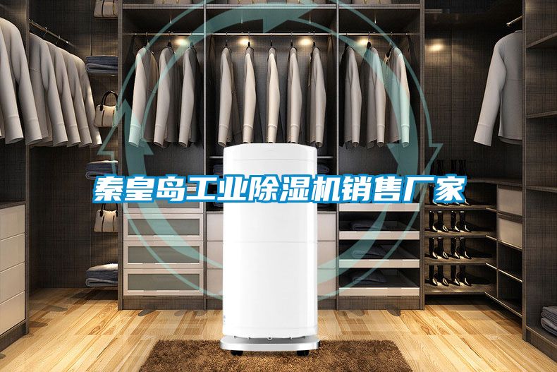 秦皇島工業(yè)除濕機(jī)銷售廠家