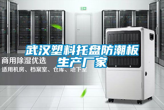 武漢塑料托盤防潮板生產(chǎn)廠家
