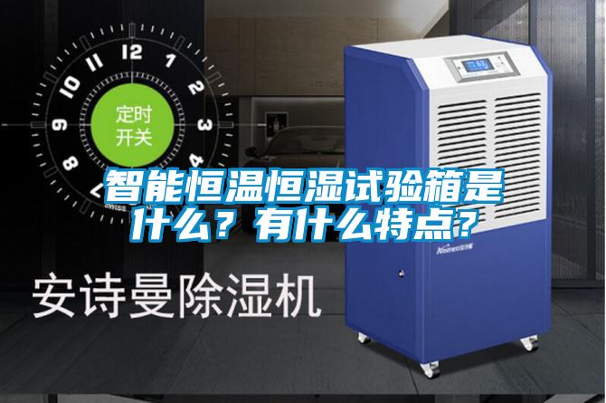 智能恒溫恒濕試驗箱是什么？有什么特點？