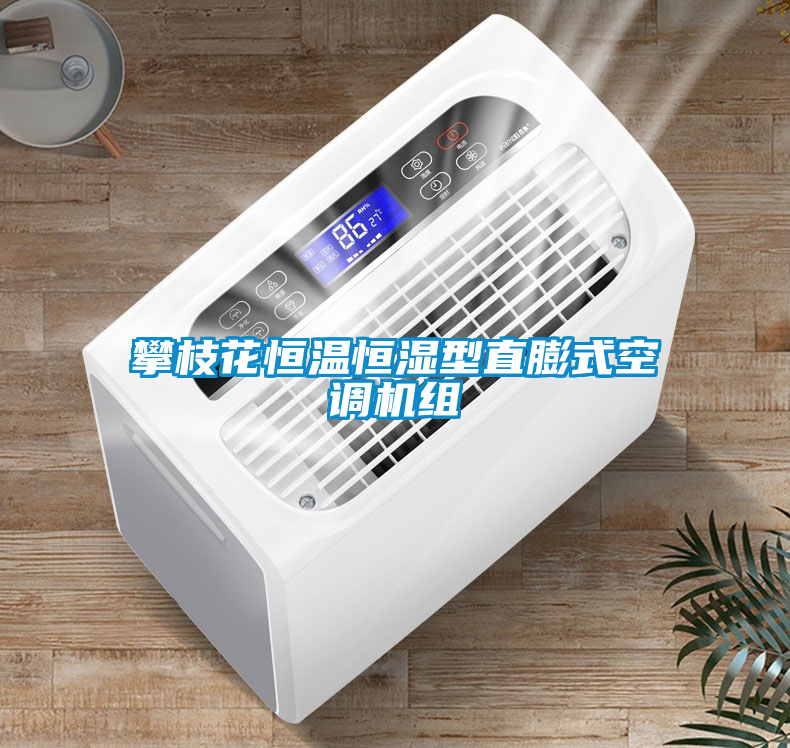 攀枝花恒溫恒濕型直膨式空調機組