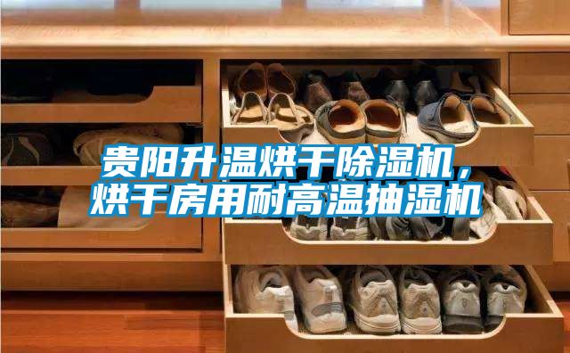 貴陽升溫烘干除濕機，烘干房用耐高溫抽濕機