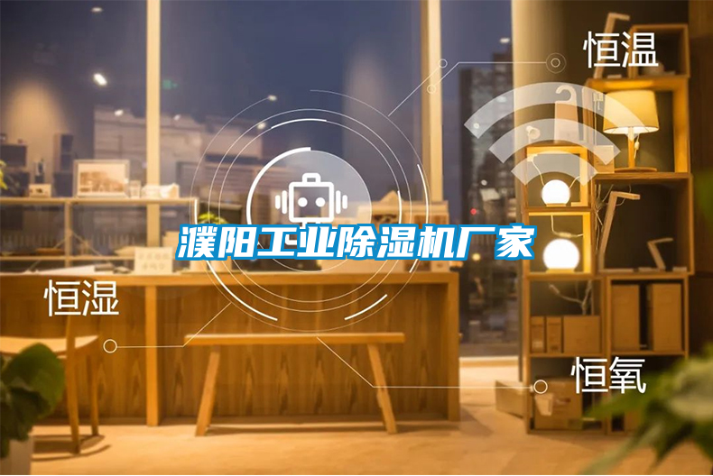 濮陽工業(yè)除濕機(jī)廠家