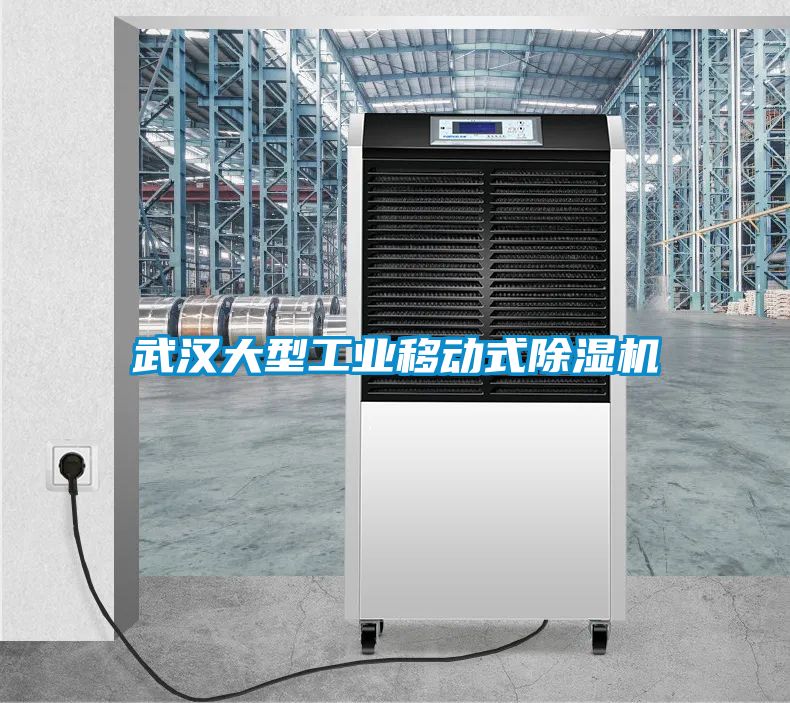武漢大型工業(yè)移動式除濕機