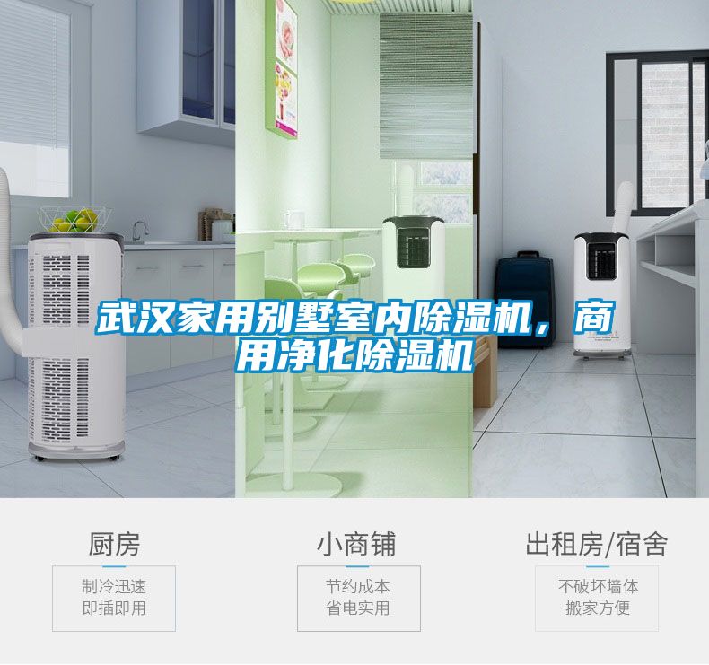 武漢家用別墅室內除濕機，商用凈化除濕機