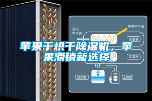 蘋果干烘干除濕機，蘋果滯銷新選擇