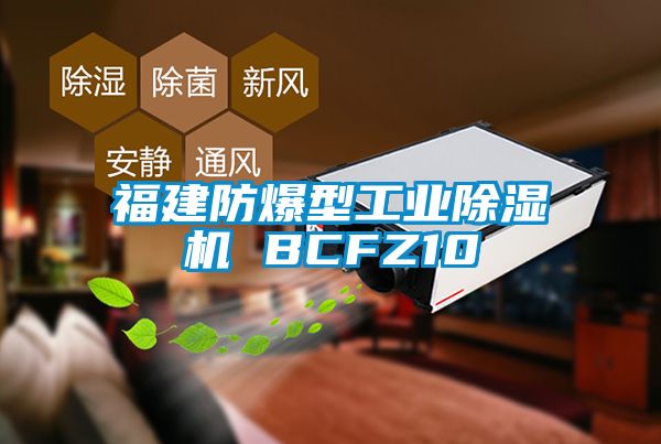 福建防爆型工業(yè)除濕機 BCFZ10