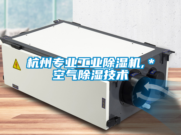 杭州專業工業除濕機,＊空氣除濕技術
