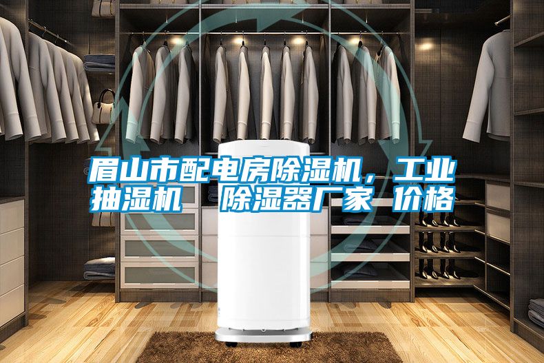 眉山市配電房除濕機，工業(yè)抽濕機  除濕器廠家 價格