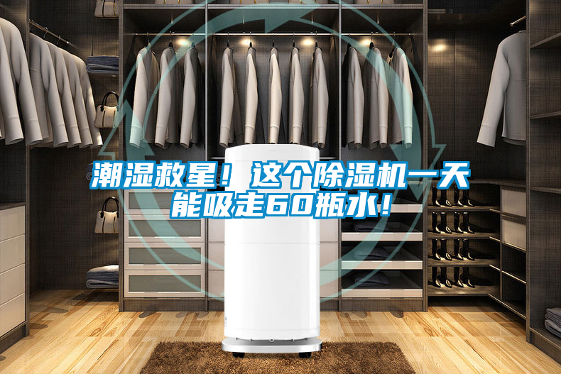 潮濕救星！這個除濕機一天能吸走60瓶水！