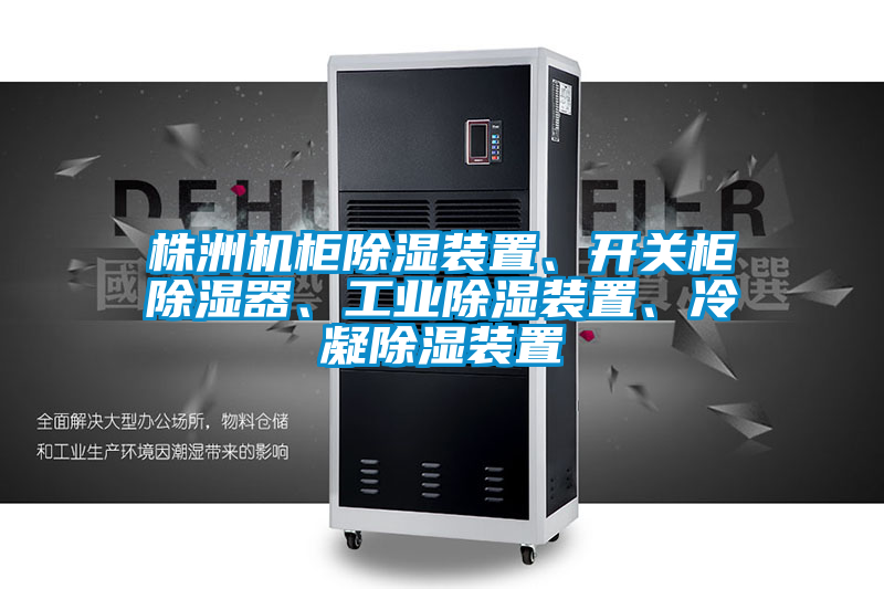 株洲機柜除濕裝置、開關柜除濕器、工業除濕裝置、冷凝除濕裝置