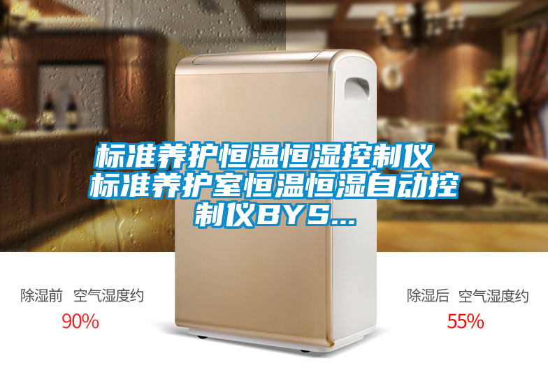 標(biāo)準(zhǔn)養(yǎng)護(hù)恒溫恒濕控制儀 標(biāo)準(zhǔn)養(yǎng)護(hù)室恒溫恒濕自動控制儀BYS...