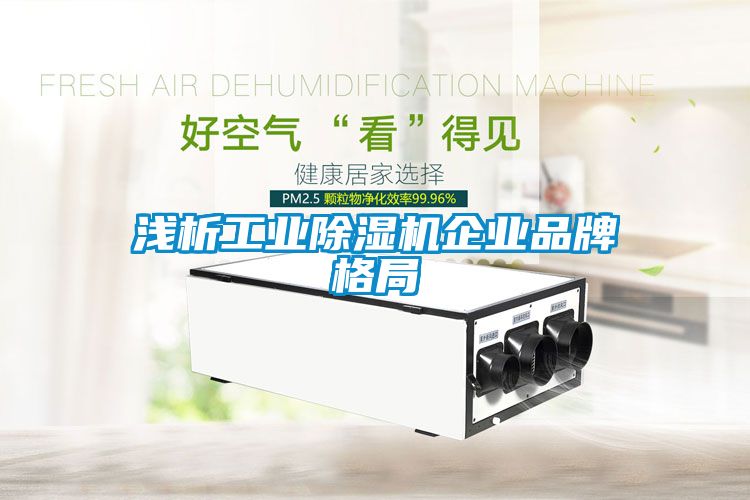 淺析工業(yè)除濕機(jī)企業(yè)品牌格局