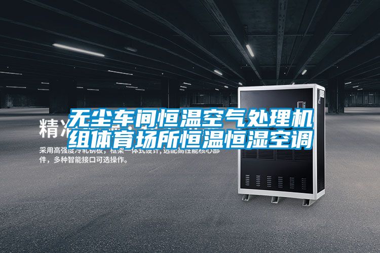 無塵車間恒溫空氣處理機(jī)組體育場(chǎng)所恒溫恒濕空調(diào)