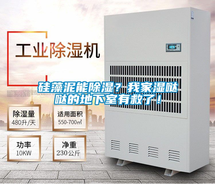 硅藻泥能除濕？我家濕噠噠的地下室有救了！