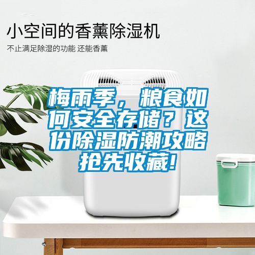 梅雨季，糧食如何安全存儲？這份除濕防潮攻略搶先收藏!