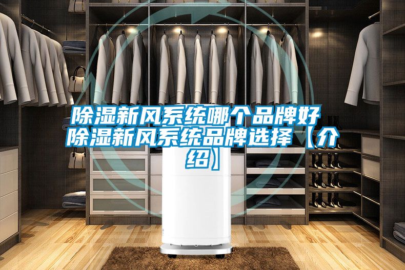 除濕新風系統(tǒng)哪個品牌好 除濕新風系統(tǒng)品牌選擇【介紹】