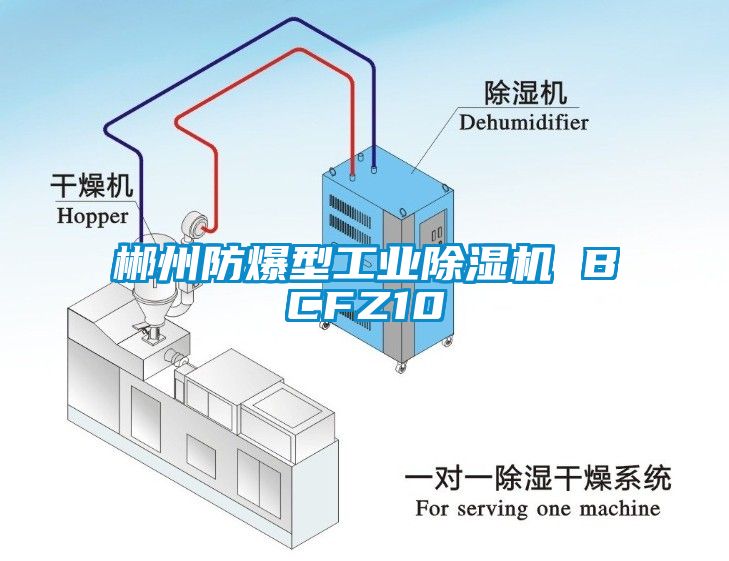 郴州防爆型工業除濕機 BCFZ10