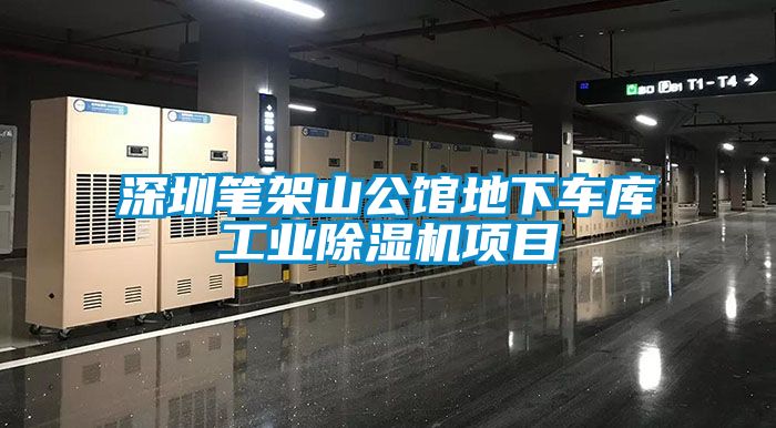 深圳筆架山公館地下車庫工業除濕機項目
