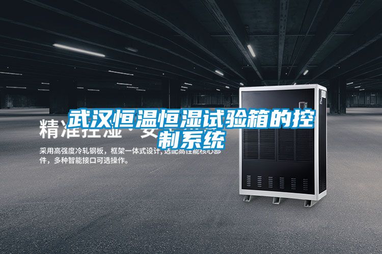 武漢恒溫恒濕試驗(yàn)箱的控制系統(tǒng)