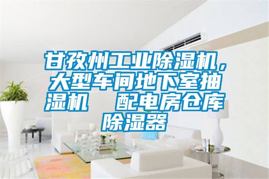 甘孜州工業(yè)除濕機，大型車間地下室抽濕機  配電房倉庫除濕器