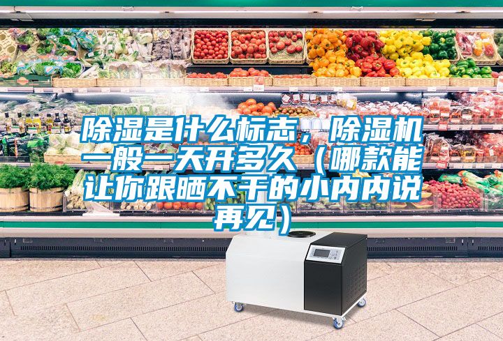 除濕是什么標志，除濕機一般一天開多久（哪款能讓你跟曬不干的小內(nèi)內(nèi)說再見）