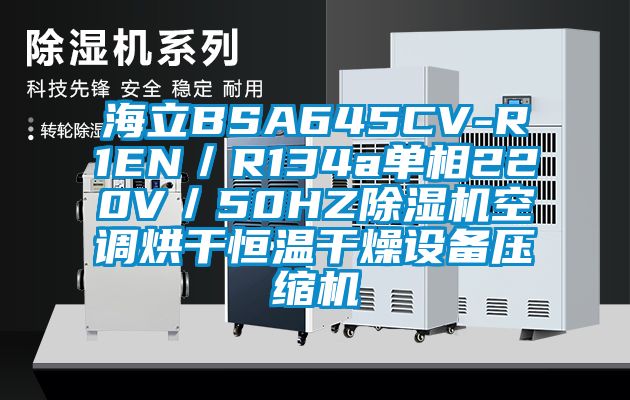 海立BSA645CV-R1EN／R134a單相220V／50HZ除濕機空調(diào)烘干恒溫干燥設(shè)備壓縮機