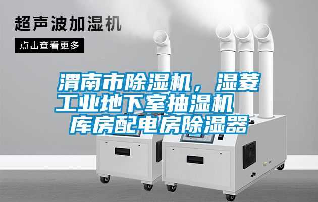 渭南市除濕機，濕菱工業地下室抽濕機  庫房配電房除濕器