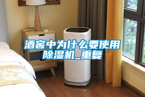 酒窖中為什么要使用除濕機(jī)_重復(fù)