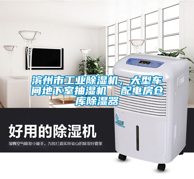 濱州市工業(yè)除濕機(jī)，大型車間地下室抽濕機(jī)  配電房倉庫除濕器