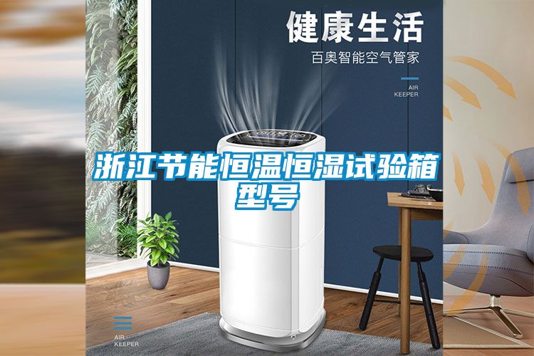 浙江節(jié)能恒溫恒濕試驗箱型號