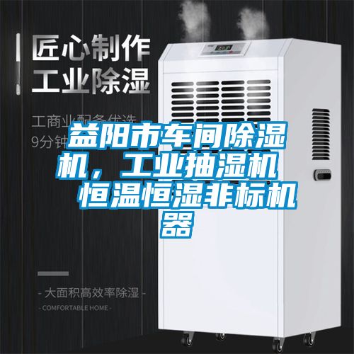 益陽市車間除濕機，工業(yè)抽濕機  恒溫恒濕非標機器