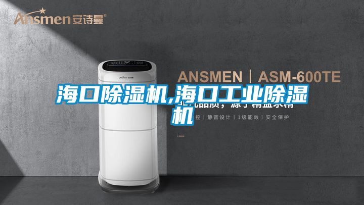 ?？诔凉駲C,海口工業除濕機
