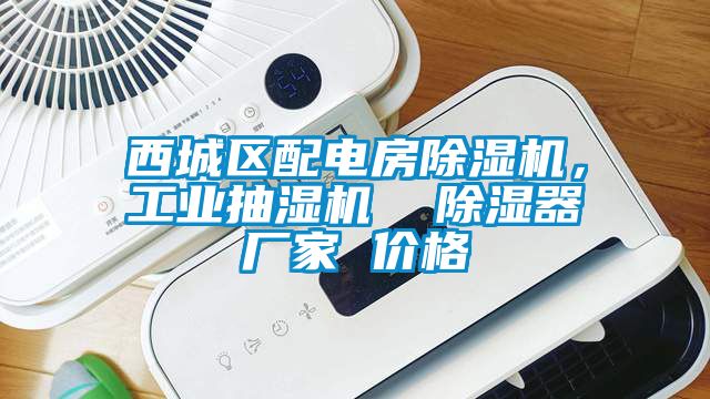 西城區(qū)配電房除濕機(jī)，工業(yè)抽濕機(jī)  除濕器廠家 價(jià)格