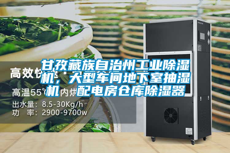 甘孜藏族自治州工業除濕機，大型車間地下室抽濕機  配電房倉庫除濕器