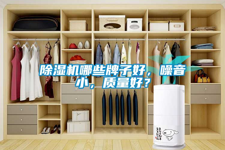 除濕機哪些牌子好，噪音小，質量好？